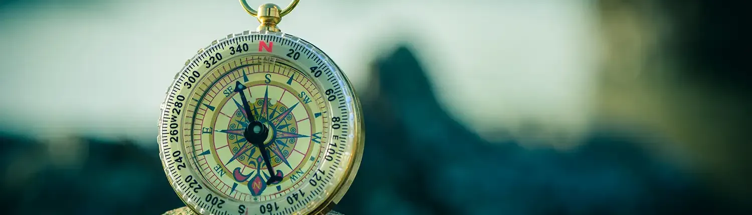 New Directions Coaching with Ann Vanino - Image of a Compass in Nature