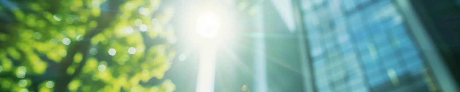 Environmental Consulting with Ann Vanino