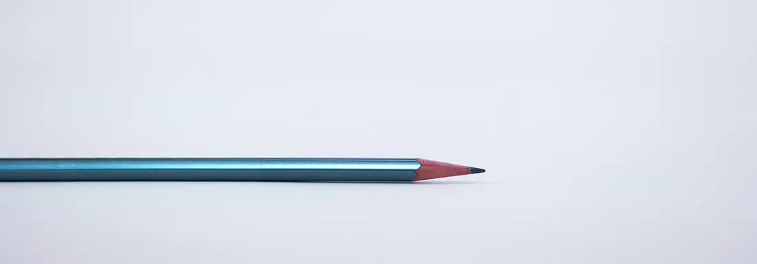 Coaching and Career Articles by Ann Vanino